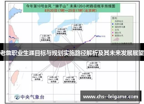老詹职业生涯目标与规划实施路径解析及其未来发展展望