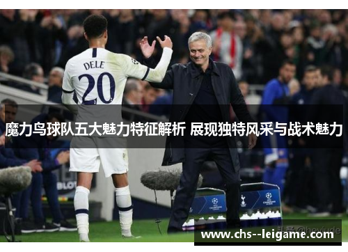 魔力鸟球队五大魅力特征解析 展现独特风采与战术魅力 魔力鸟球队五大魅力特征解析 展现独特风采与战术魅力